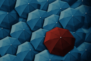 News 3 Umbrella Company